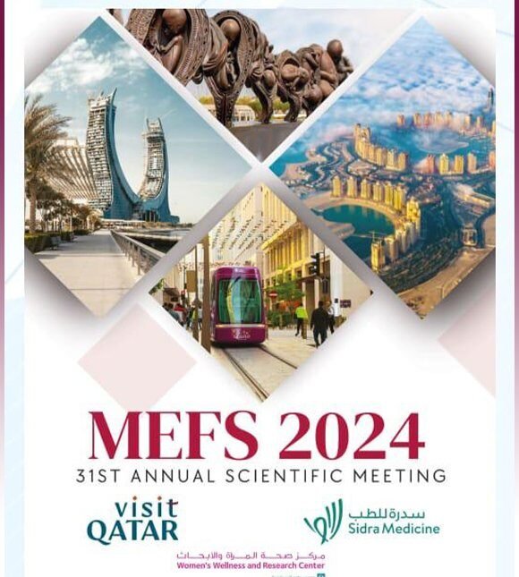 MEFS 2024