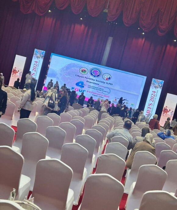 Past conferences